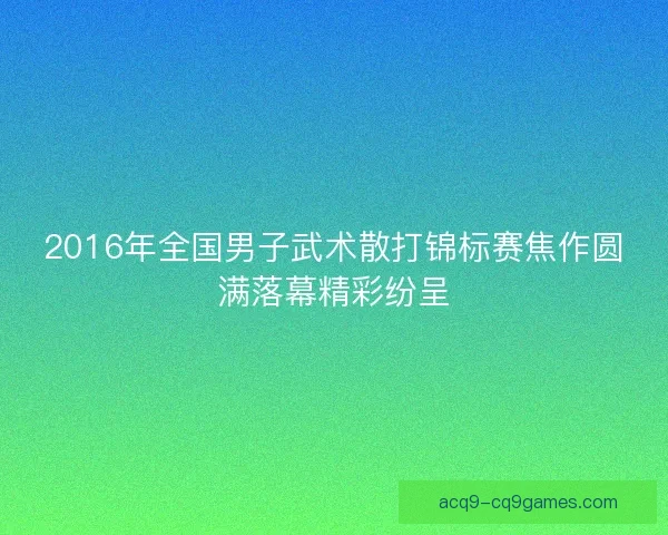 2016年全国男子武术散打锦标赛焦作圆满落幕精彩纷呈